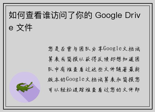 如何查看谁访问了你的 Google Drive 文件 